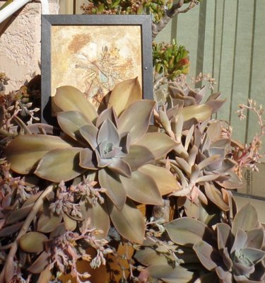 Natur'Art