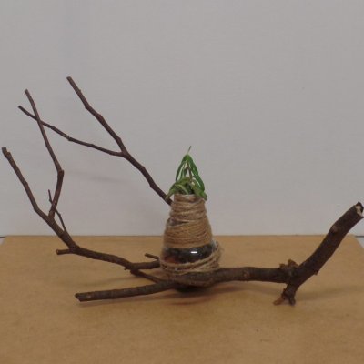 Vases