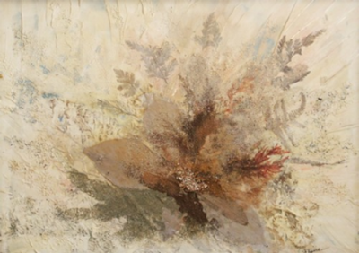 Rétrospective - Algues