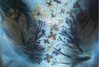 Rétrospective - Transparence
